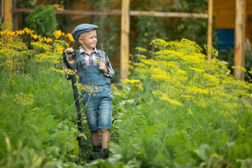 assistant boy in denim overalls and a cap costs in the garden with a shovel in the beds with carrot
