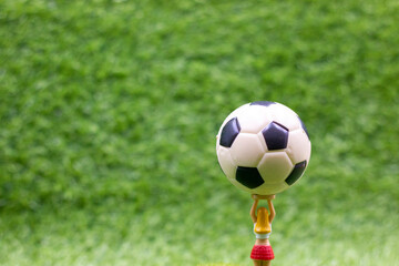 Soccer ball is on green grass
