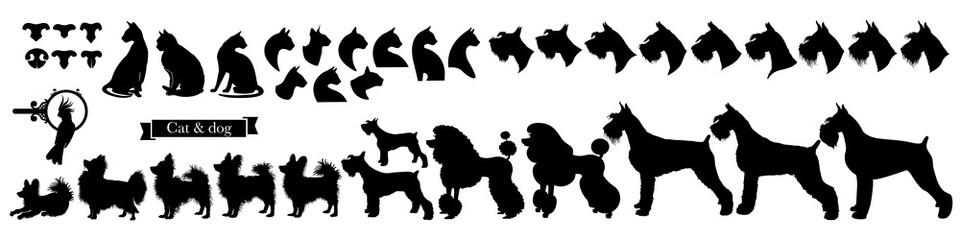 Set of pet icons. Miscellaneous signs of cats, dogs, parrot and cat and dog noses. Vector Illustration