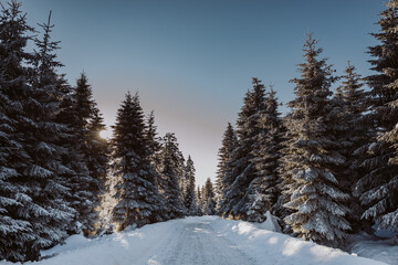 Winterlandschaft im Harz am Brocken