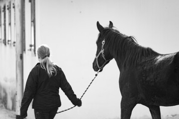 Black and white photo of horse and equestrian