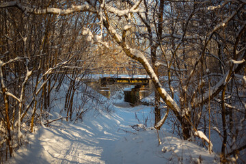 Railway bridge in winter forest