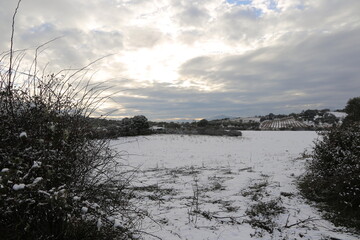 Paisaje nevado