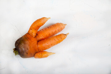 Big funny ugly carrot lies on a white background. Copy space.