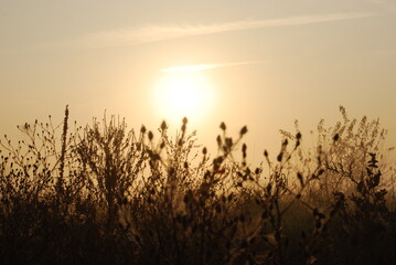 Obraz premium tramonto