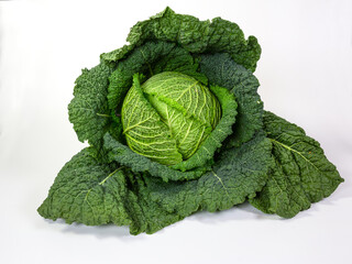 Close-up of a savoy cabbage on white background