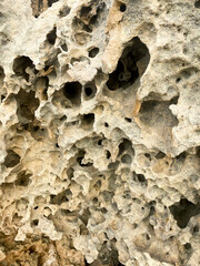Sand with holes on the seashore. Sandy rocks on the beach of Mediterranean sea. Rough surface background.