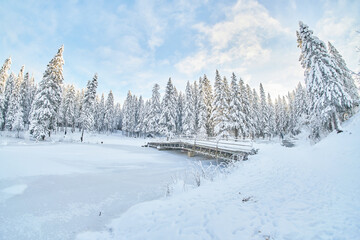 frozen river. snowy beautiful winter