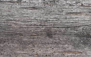 gray old wooden board. background