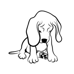 Cute puppy with bent head looking guilty. Sad little puppy black outline isolated on white background. Vector illustration