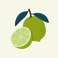 Vector illustration of lime and half of lime on a beige background. Hand-drawn fruits in bright colors. Suitable for illustrating healthy eating, recipes, local farm. Card with lime.