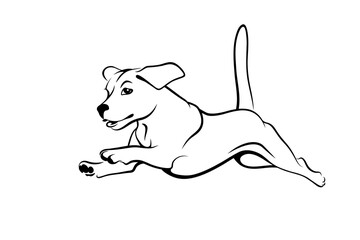 Fast running dog. Jumping dog black outline isolated on white background. Vector illustration