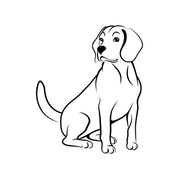 Sitting dog. Cute beagle dog in a sitting position black outline isolated on white background. Vector illustration