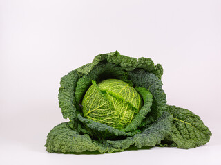 Close-up of a savoy cabbage on white background