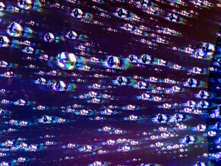 Close-up of water drops on a coloured surface