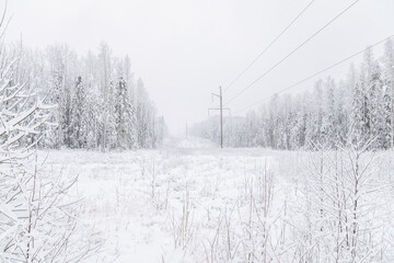 Fototapeta na wymiar power line in the forest. Winter
