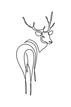 Fallow deer in continuous line art drawing style. Reindeer minimalist black linear sketch isolated on white background. Vector illustration