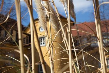 Altes Waisenhaus in Stuttgart Innenstadt mit Skulpturen einem turm und Gräßer im Vordergrund