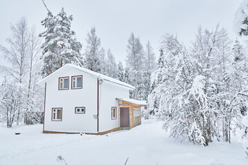 Fototapeta na wymiar frame house in the forest in winter