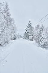 road in the forest. winter