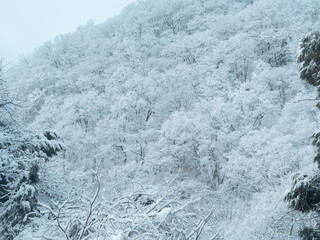 冬・雪山・ドローン・空撮
