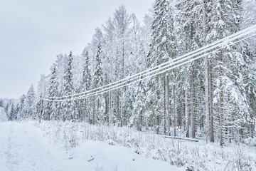 cold winter power line poles - Powered by Adobe
