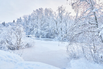 frozen river. snowy beautiful winter