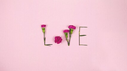 The word Love is made of flowers and leaves on a pink background, valentine's day concept top view