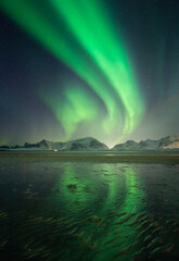 Aurora Borealis lights over Lofoten Islands in Norway