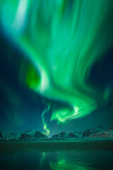 Aurora Borealis lights over Lofoten Islands in Norway