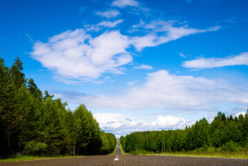 An asphalt road outside the city, after the last rain. Intercity deserted track passing through a summer forest.