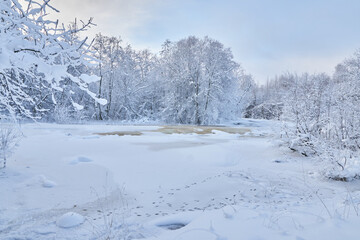 frozen river. snowy beautiful winter
