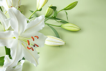 Close-up of white lily flower on light green background for design on the theme of wedding, holiday invitation or postal.