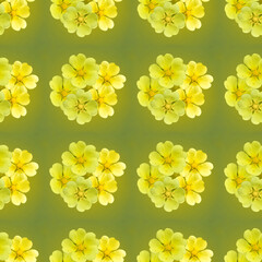 Seamless pattern spring flower composition, yellow colored flowers.