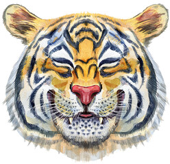Colorful orange smiling tiger. Wild animal watercolor illustration on white background