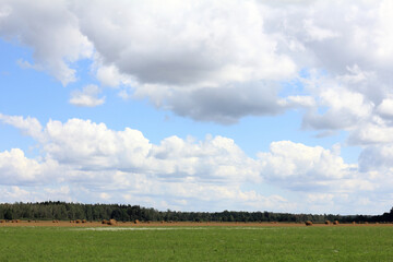 sky with clouds, green meadow and round haystacks on the background of the forest. summer rural landscape