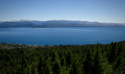 forest and lake nahuel huapi, in bariloche