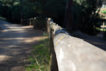 Bosque de torrebonica,Terrassa,lugar  ideal para pasear cerca de la ciudad