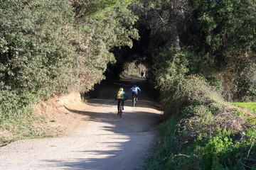 Bosque de torrebonica,Terrassa,lugar  ideal para pasear cerca de la ciudad