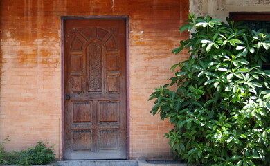 Fototapeta na wymiar Retro style of red brown wood door and old red brick wall, green leaves of shrub on right.