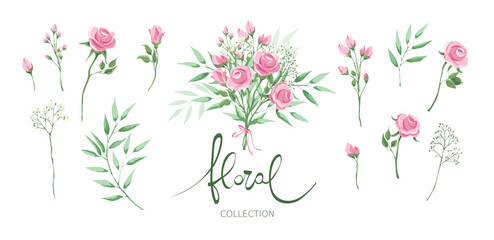 Green leaves and roses - set of design elements. Vector illustration -- pink flowers for decorating postcards. Watercolor style.
