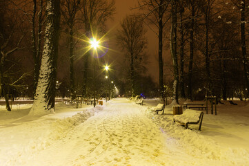 Poland, Lublin, Park Ludowy. Park road in winter at night.3
Poland, Lublin, Park Ludowy. Park road in winter at night.2
Poland, Lublin, Park Ludowy. Park road in winter at night. - obrazy, fototapety, plakaty