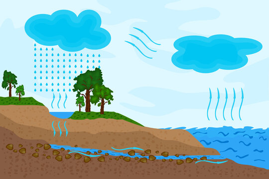 Science of water cycle in  representation of the water   cycle and water condensation infographic. Hydrological cycle process  visually  vector illustratio Stock Vector | Adobe Stock