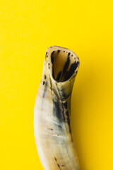 Close-up image of a mouthpiece made of a lamb's horn, yellow background