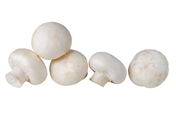 Fresh champignon mushrooms isolated on white. Healthy food