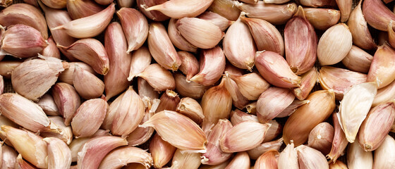 pattern garlic peeled cloves in organic. spice is an herb that is grown around the world. top view copy space banner.