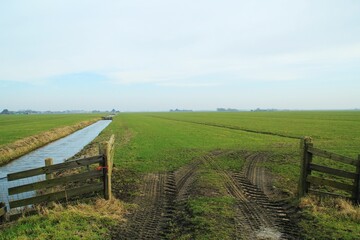 Fototapeta na wymiar dutch fields