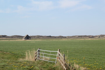 texel
