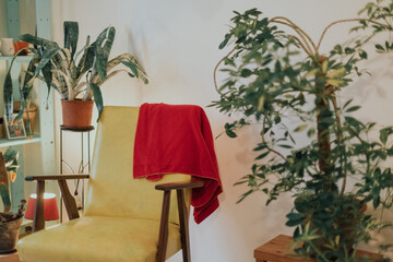 Cosy home interior with plants around the armchair.