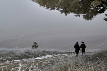misty morning walk